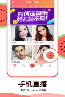 下载吃瓜直播,一场全民娱乐盛宴的狂欢之旅